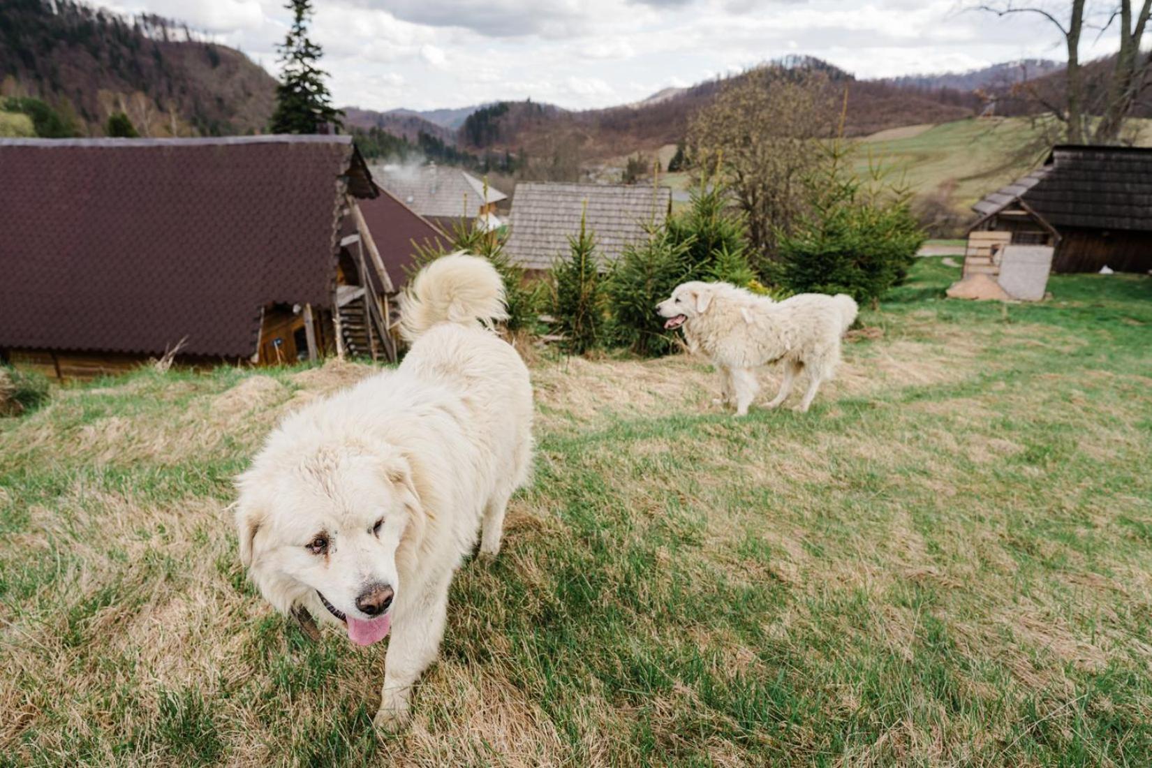Penzion Zbojnicky Halas Tisovec Exterior foto